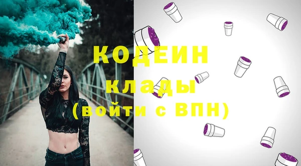 хмурый Сосновка