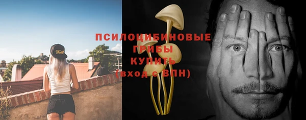 крисы Алексеевка