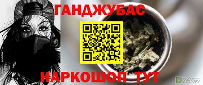 гашик Гай