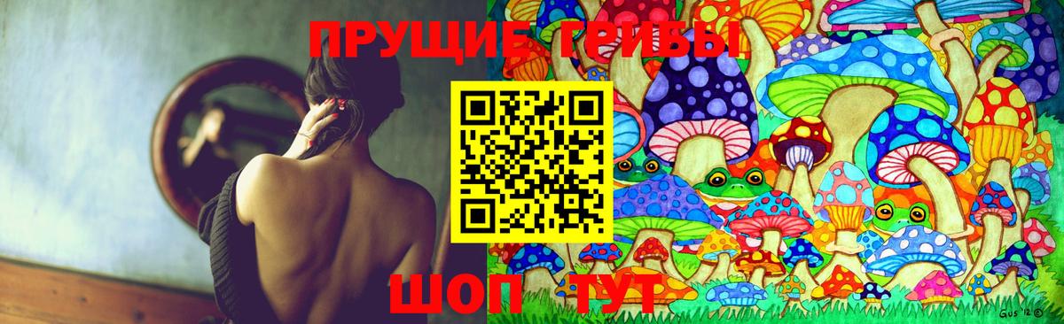 Магнитогорск  где купить наркоту  Вход с VPN  Псилоцибиновые грибы ЛСД 