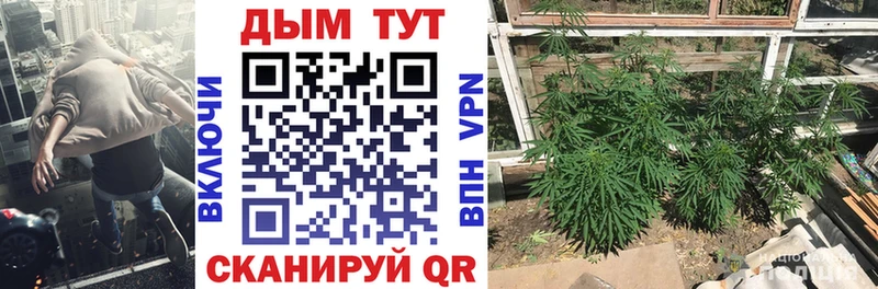блэк спрут ссылка  Магнитогорск  Бошки Шишки LSD WEED 